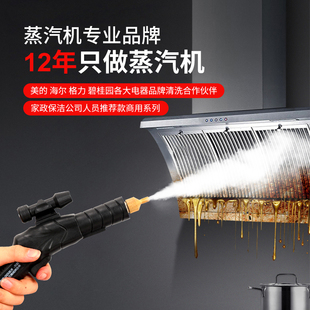 高温高压蒸汽清洁机空调厨房油烟机商用家政多功能一体家电清洗机