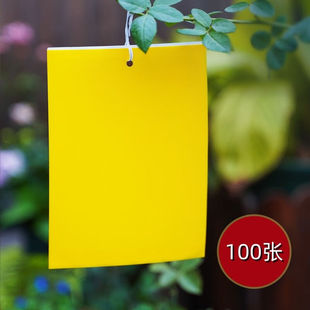 锋上双面粘虫板黄色大号100张黄板诱虫贴板小飞虫果蝇粘虫板20