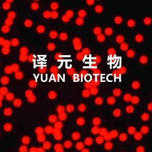 聚苯乙烯荧光微球 红色 单分散 生物试剂 科研顺丰 绿色荧光微球