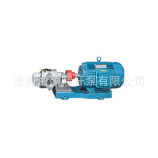 销售 KCB齿轮泵18.3 83.3不锈钢防爆齿轮泵铸铁齿轮泵 定制