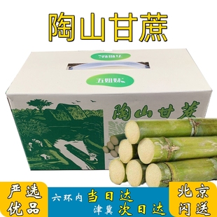 应季 时令现货 陶山甘蔗新鲜温州青皮特级绿皮水果5斤礼盒当季