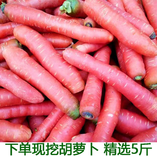 红心沙地罗卜胡萝卜新鲜水果萝卜脆甜生吃现挖即食农家蔬菜