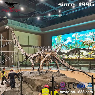 自贡大型仿真化石恐龙恐龙化石骨架模型制作博物馆展览
