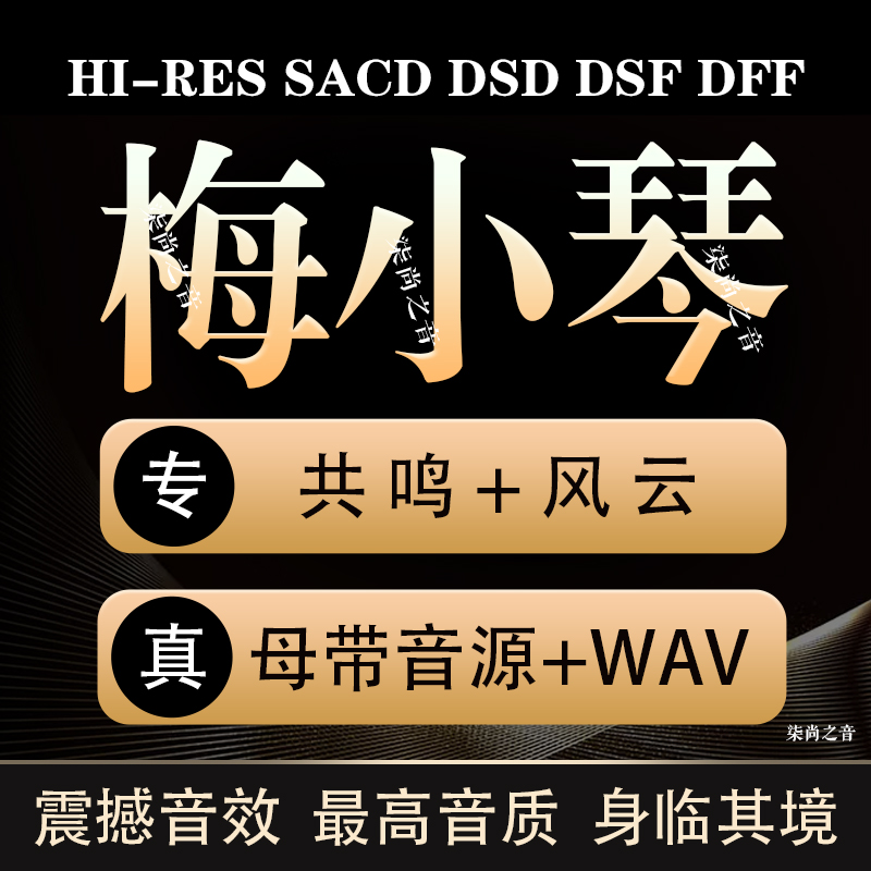 共鸣 风云 梅小琴音乐专辑： DFF WAV无损高品质HIFI母带 DSD