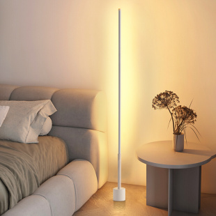 大观园落地灯卧室床头墙角灯具现代简约客厅沙发旁极简氛围灯Z002
