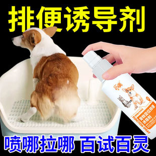 狗狗厕所诱导剂定点大小便排便训练宠物尿尿拉屎便便神器引导用品