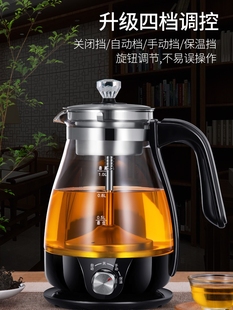 煮茶器家用煮茶壶黑茶专用多功能电水壶全自动养生蒸汽喷淋式 泡茶