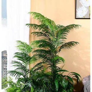 散尾葵北欧风贵妃葵绿植盆栽植物假花花大型摆件客厅装 饰假树