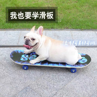 狗狗滑板宠物滑板闪光轮英斗专业滑板法斗滑板雪纳瑞柯基宠物用品