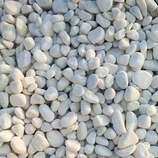 新款 白石子白色石头50斤园林绿化造景石头鹅卵石庭院铺路铺地小白