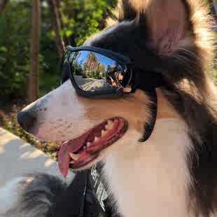 拉风扮酷宠物眼镜狗狗墨镜防风防水防紫外线护目太阳镜中大型犬用