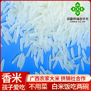 广西猫牙米长粒香米2022晚稻新米丝苗米10斤5kg籼米真空包装 大米