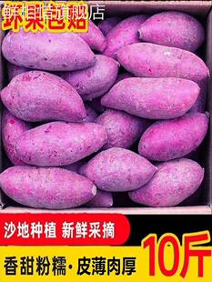 包邮 农产品10 正宗沙地紫薯10斤新鲜现挖地瓜香薯番薯农家自种