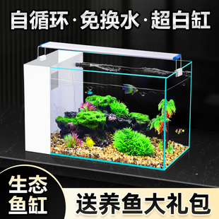 客厅小型鱼缸超白玻璃免换水生态金鱼缸家用桌面自循环水族箱侧滤