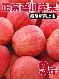 洛川苹果陕西红富士整箱5斤当季 新鲜水果大果礼盒冰糖心10