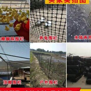熟胶黑塑料网格防护围栏隔离网菜园栅栏拦鸡网养殖鸡鸭鹅圈玉米网