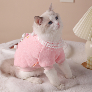毛衣蓝猫加菲猫英短宠物猫猫秋冬装 猫咪衣服保暖暹罗布偶小猫冬季