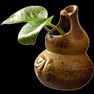 创意绿萝水培悬挂小花瓶客厅装 饰品容器墙壁摆件水养植物器皿花盆