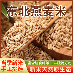 燕麦米新米燕麦仁代餐五谷杂粮粗粮胚芽米燕麦米商用5斤东北农家