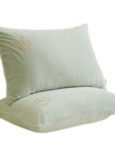 牛奶绒枕套一对装 简约北欧纯色刺绣珊瑚绒长方形单双人枕头套 冬季