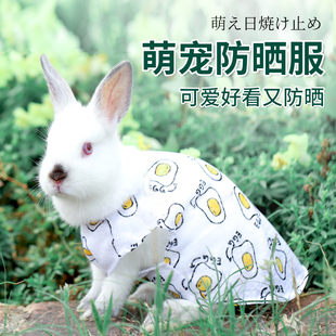 饰穿 小 网红兔子衣服夏天专用小宠物幼兔荷兰猪垂耳兔兔兔用品装