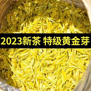 2023新茶特级黄金芽安吉明前珍稀白茶高山绿茶叶散装 400g袋口粮茶