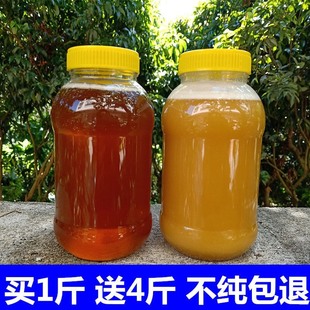 包邮 纯正成熟洋槐蜜500g瓶 纯真土蜂蜜天然蜂农自产野生原蜜结晶蜜