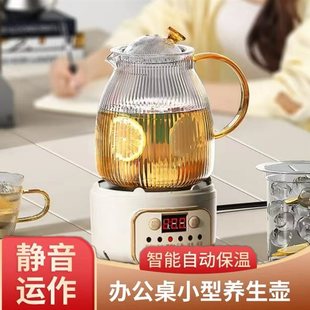 玻璃煮茶壶迷你养生壶家用电陶炉多功能养生杯办公室煮茶器花茶壶