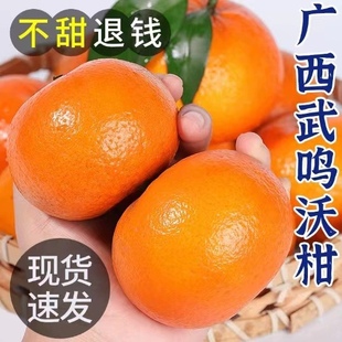 广西武鸣沃柑10斤新鲜水果当季 整箱一级桔子沙糖蜜桔时令砂糖橘子