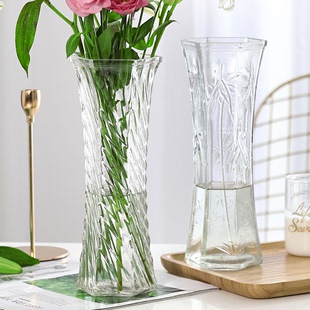 两件套 特大号玻璃花瓶透明水养富贵竹花瓶客厅家用插花瓶摆件