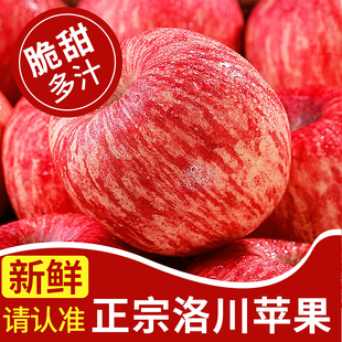 正宗陕西洛川苹果水果新鲜当季 整箱红富士冰糖心一级脆甜10斤 包邮