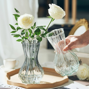 中等花瓶创意摆件客厅插花玻璃透明ins北欧网红轻奢水养鲜花玫瑰