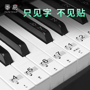 88键61 54键透明电子琴贴音符音标琴键贴五线谱简谱 钢琴键盘贴纸