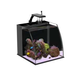 海水缸桌面家用客厅全套热弯海水鱼缸水族箱蛋分珊瑚海鱼小丑鱼