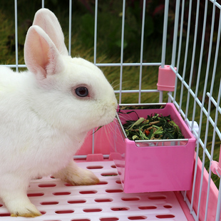 兔子食盆自动喂食器饲料食盒料槽龙猫固定挂式 防扒翻碗荷兰猪草架
