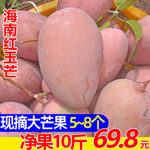 海南芒果红玉芒玉文芒当季 新鲜水果超级大芒果三亚特产水果10斤