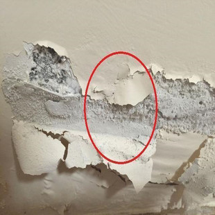 墙面修补翻新 除霉剂白墙面墙体墙壁除霉去污霉斑清除剂防发霉