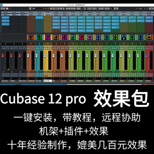 pro效果包带机架效果插件全套安装 包声卡调试精调预制 cubase12