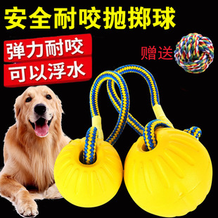 狗狗玩具球耐咬浮水拉绳互动飞盘金毛马犬训练带绳球宠物弹力拉环