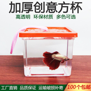 塑料鱼盒带盖泰国斗鱼杯创意方杯小号斗鱼盒透明宠物盒小金鱼缸