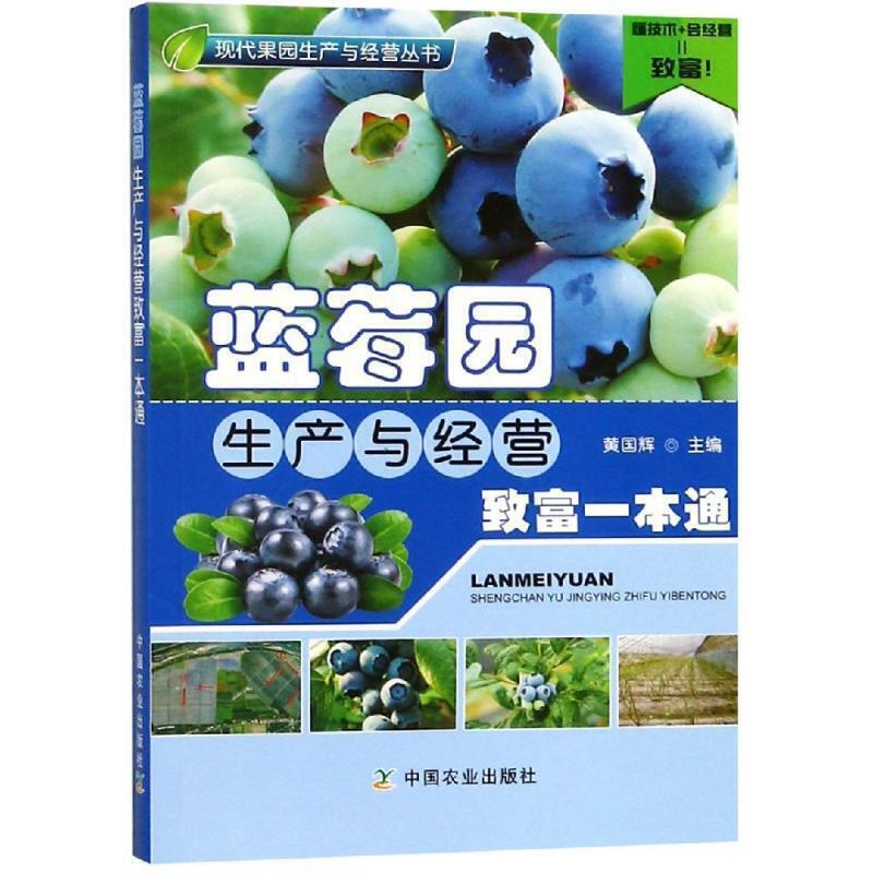 蓝莓园生产与经营致富一本通 现代果园生产与经营丛书 正版 蓝莓设施优质丰产栽培技术 蓝莓栽培种植技术书籍 种植技术书籍