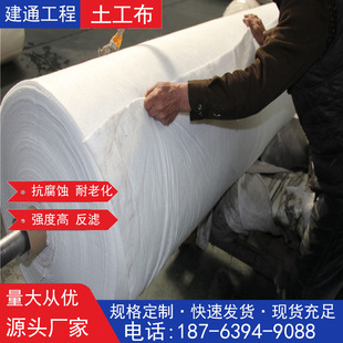 聚酯纤维长丝无纺土工布200g400g600g短丝涤纶无纺土工布公路养护