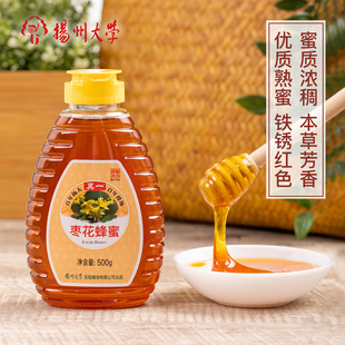 扬州大学蜂蜜农家自产枣花蜜一斤挤压瓶装 原味纯正天然无添加土真