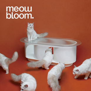 Meow Bloom洞穴茶几北欧轻奢简约现代人猫共用小户型玻璃茶桌设计