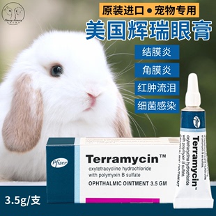 兔子消炎抗菌消肿清热去火眼药水龙猫豚鼠仓鼠眼睛发炎角膜炎红肿