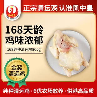 天农 凤中皇168纯种清远鸡 山林放养走地鸡土鸡新鲜鸡肉鸡800g