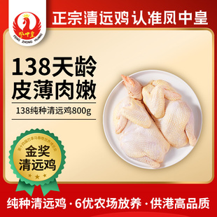 天农 凤中皇138纯种清远鸡农家散养走地鸡土鸡新鲜鸡肉800g整只鸡