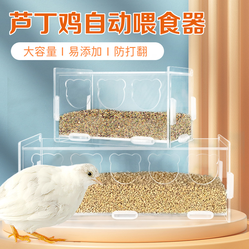 芦丁鸡喂食器养鸡食槽自动喂食器小型自动饮水器鹌鹑防溅饲料食盆