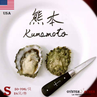 適合蠔門初哥 美國進口鮮活刺身熊本生蠔Kumamoto 24只装 Oyster