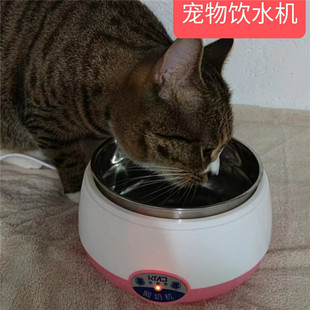 酸奶机 猫咪喝水家用小型宠物恒温饮水机多功能加热器